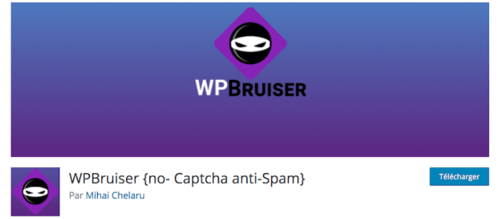 Plugin WordPress WP Bruiser